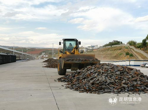 云南永仁站正式開辦鐵路貨運業(yè)務及運輸設備租賃服務